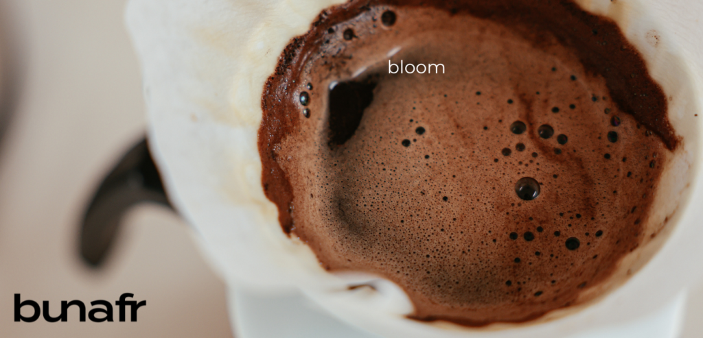 blooming coffee